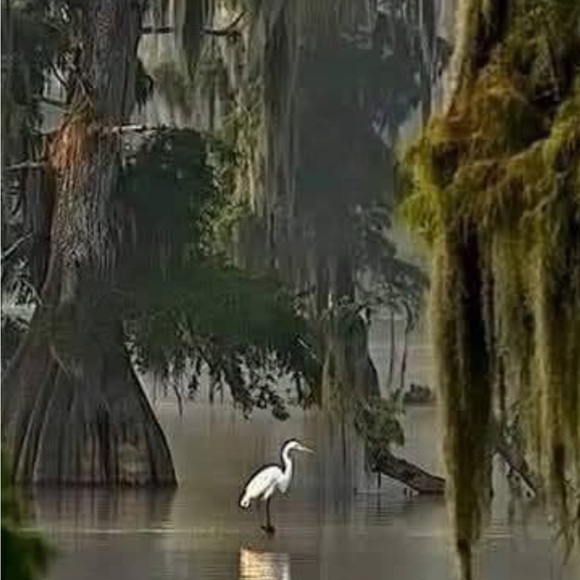 Meet your posher RDL - Picture 7 of 10